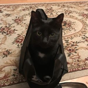 Meet your Posher, Aimee